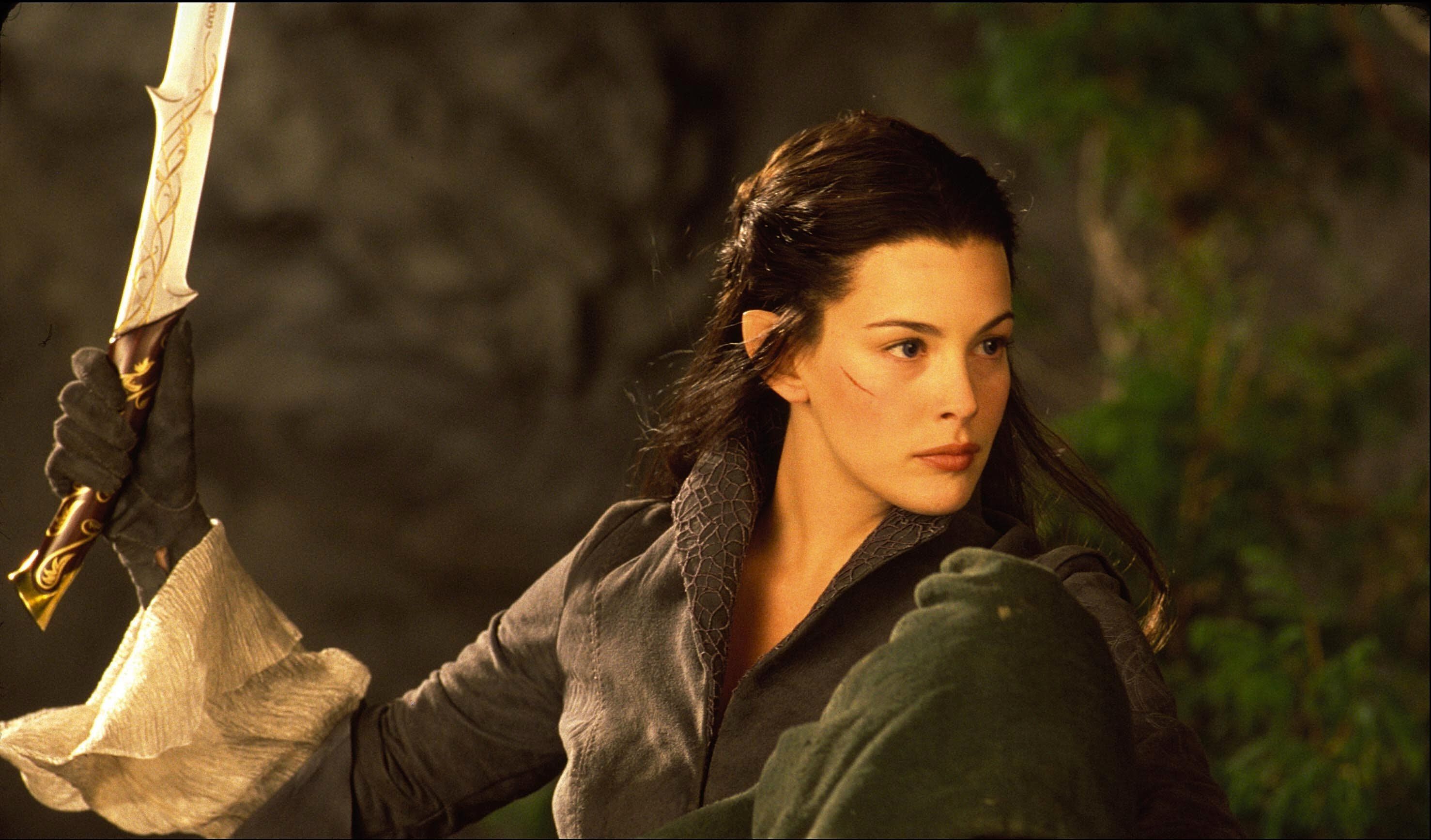 The Lord Of The Rings The Fellowship Of The Ring